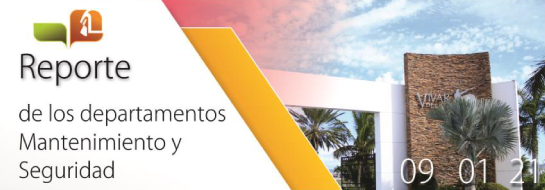 Reporte Mantenimiento y Seguridad 2020