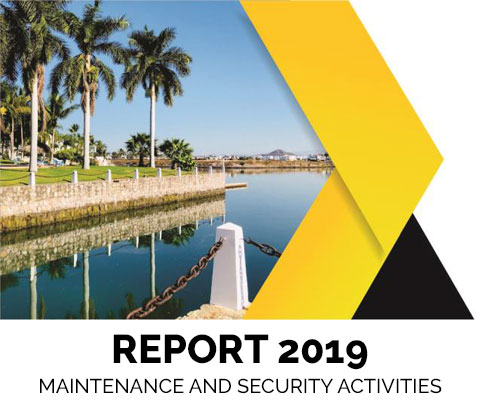 Report 2019