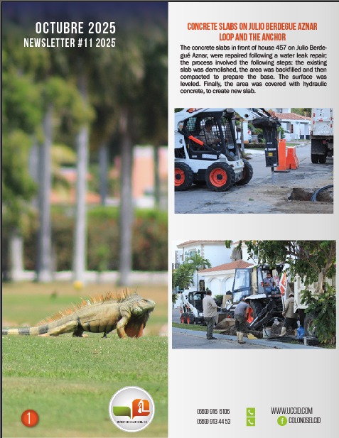 Newsletter #11 year 2025