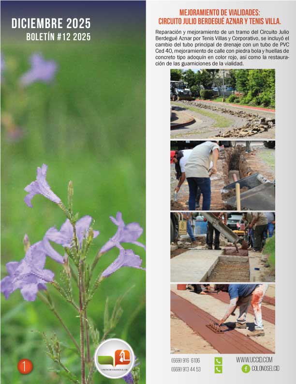 Newsletter #12 year 2025