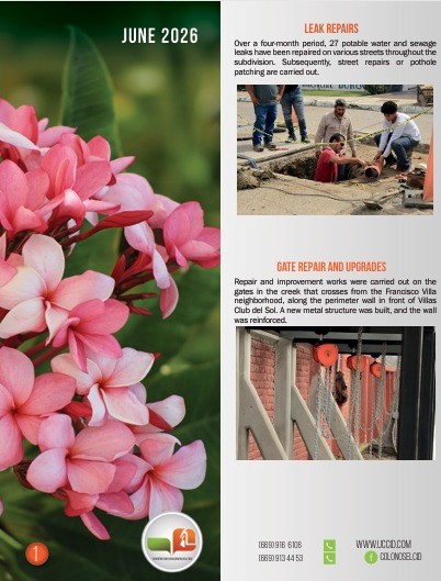Newsletter June 2026